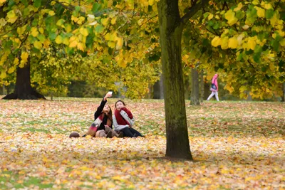 DSC_0588 (Large).JPG